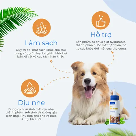 Đặc Điểm Nổi Bật