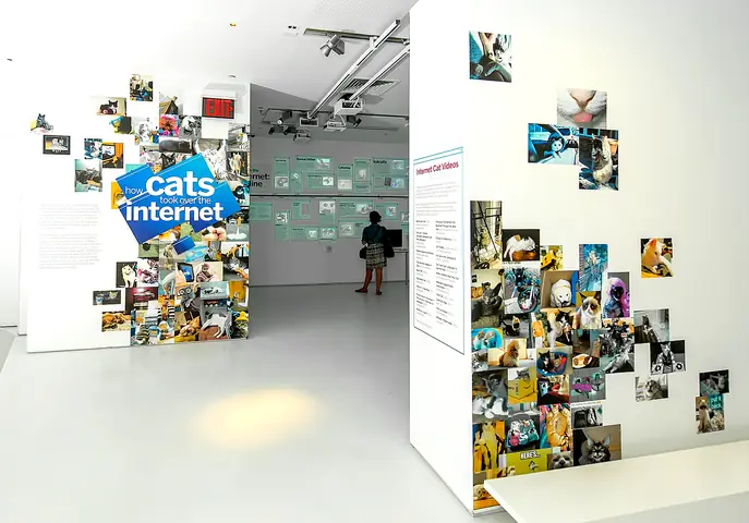 Vì Sao Cả Internet Thích Ngắm Video Mèo? - Ảnh 9.