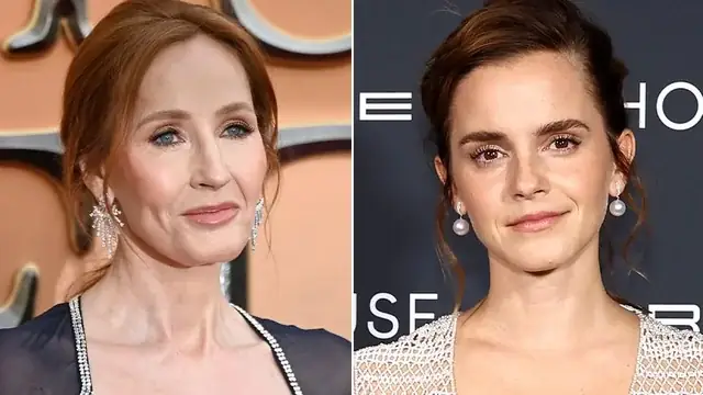 Video Đội Chó Cứu Hộ: Hành Trình Cảm Động Của Những Người Bạn Bốn Chân