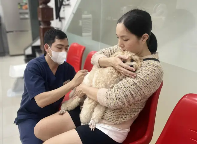 Biện Pháp Phòng Ngừa Viêm Dạ Dày Ở Chó Biện Pháp Phòng Ngừa Viêm Dạ Dày Ở Chó