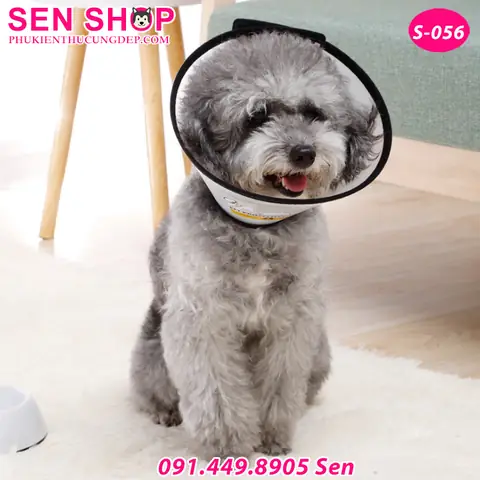 Xem Hình Ảnh Chi Tiết Vòng Loa Chống Liếm Chó Mèo