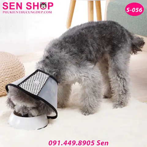 Xem Hình Ảnh Chi Tiết Vòng Loa Chống Liếm Chó Mèo