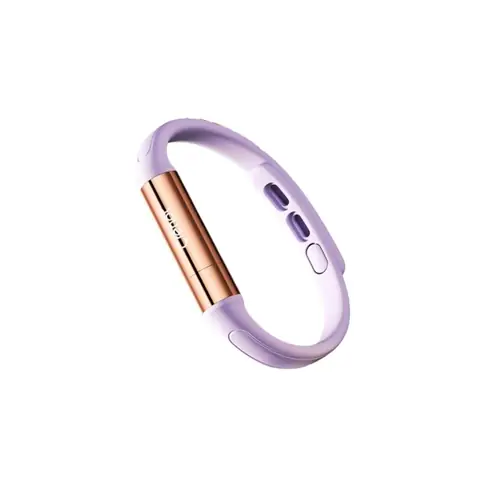 Vòng Chống Muỗi Cho Chó: Hướng Dẫn Chi Tiết Từ Chuyên Gia Thú Y