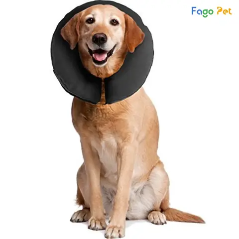 Thông Tin Sản Phẩm Vòng Cổ Bảo Vệ Chó