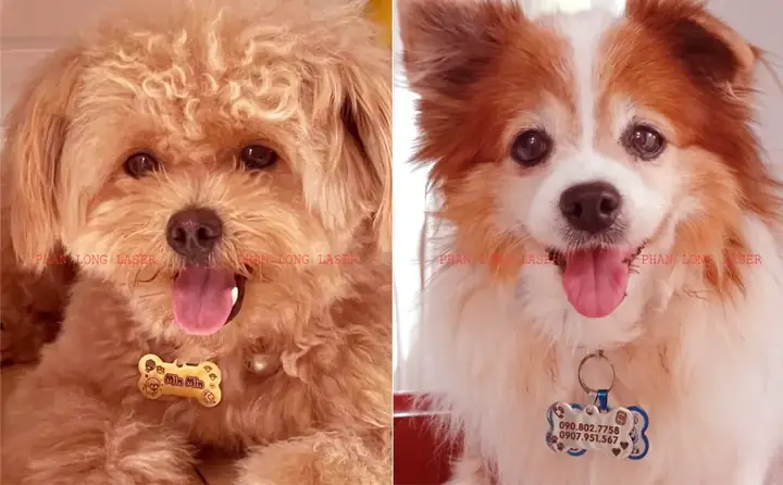 Bảng Tên Thú Cưng Pettag Được Làm Bằng Những Chất Liệu Nào? Bảng Tên Thú Cưng Pettag Được Làm Bằng Những Chất Liệu Nào?