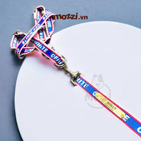 Lưu Ý Khi Làm Thẻ Tên Và Vòng Cổ Cho Chó Mèo