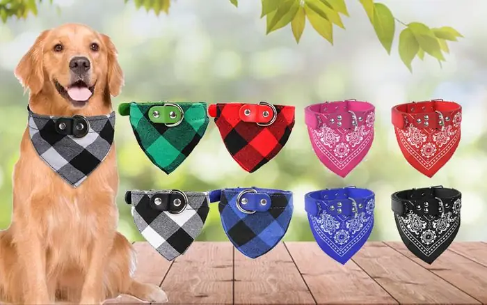 Vòng Cổ Cho Chó Con Vòng Cổ Cho Chó Con