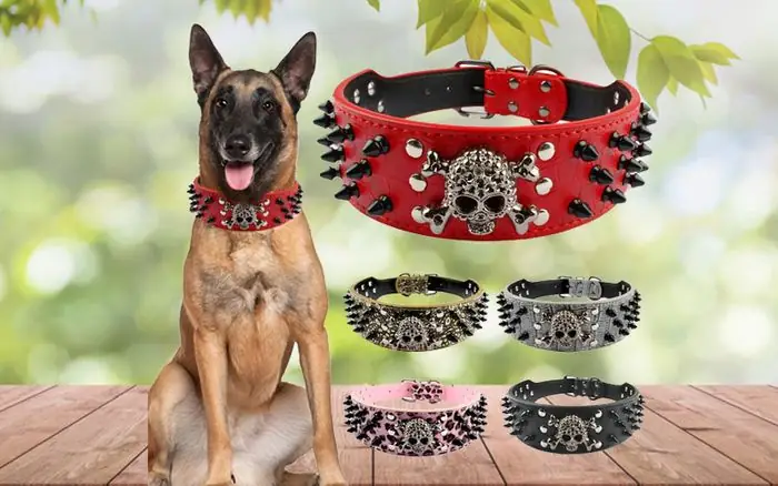 Vòng Cổ Cho Chó Con Vòng Cổ Cho Chó Con