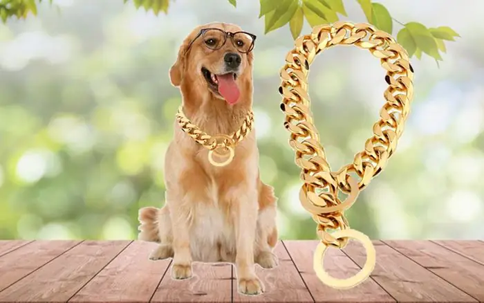 Vòng Cổ Cho Chó Con Vòng Cổ Cho Chó Con