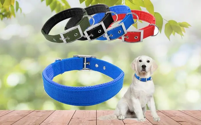 Vòng Cổ Cho Chó Con Vòng Cổ Cho Chó Con