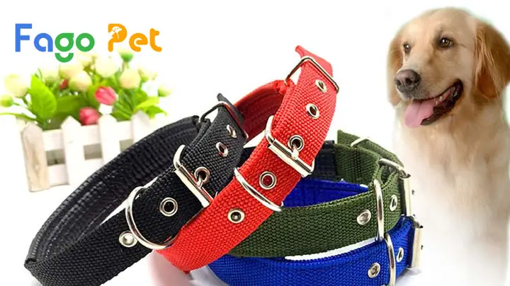 Phân Loại Vòng Cổ Cho Chó