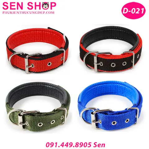 Vòng Cổ Da Cho Chó: Hướng Dẫn Chọn Mua Và Sử Dụng An Toàn, Bền Đẹp