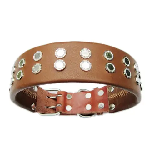 Vòng Cổ Da Cho Chó: Hướng Dẫn Chọn Mua Và Sử Dụng An Toàn, Bền Đẹp