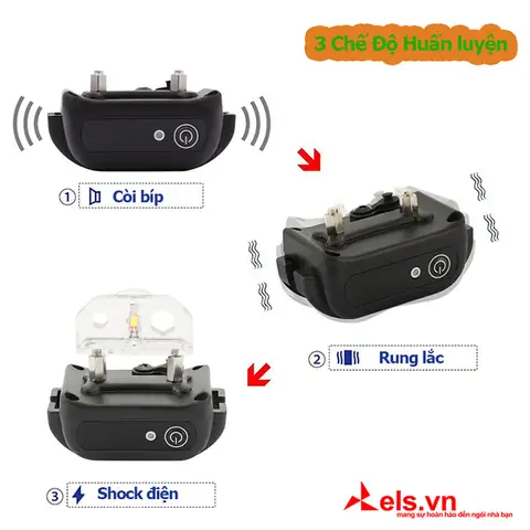 Thông Tin Sản Phẩm