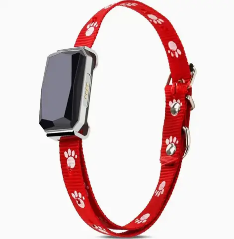 Giá Vòng Cổ Gps: Tính Năng, Độ Bền, Thương Hiệu Và Đăng Ký