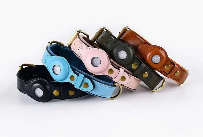 Chi Phí Để Có Một Vòng Cổ Gps Cho Chó Của Bạn Và Đáp Ứng Nhu Cầu An Toàn Của Thú Cưng Là Bao Nhiêu?