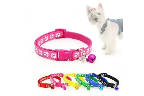 Tiêu Chí Chọn Mua Vòng Cổ Phát Sáng Cho Chó Phù Hợp Tiêu Chí Chọn Mua Vòng Cổ Phát Sáng Cho Chó Phù Hợp