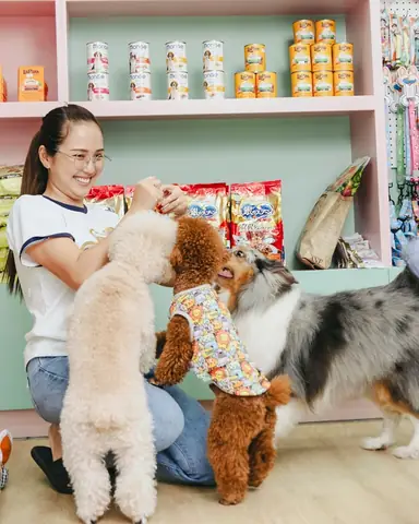 Kết Luận Kết Luận