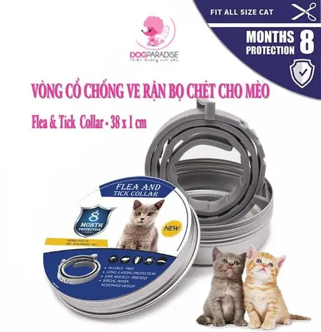 Thông Tin Chi Tiết