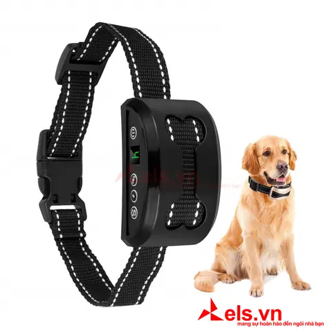 Chức Năng Ưu Việt Của Vòng Cổ Chống Sủa Cho Chó Training Collar