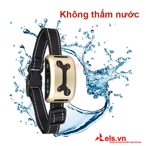 Khả Năng Chống Thấm Nước Của Vòng Đeo Cổ Chống Sủa Training Collar Cực Tốt