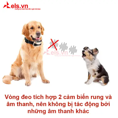 Công Nghệ Phát Hiện Tiếng Sủa Thông Minh Của Vòng Cổ Chống Sủa Cho Chó Training Collar
