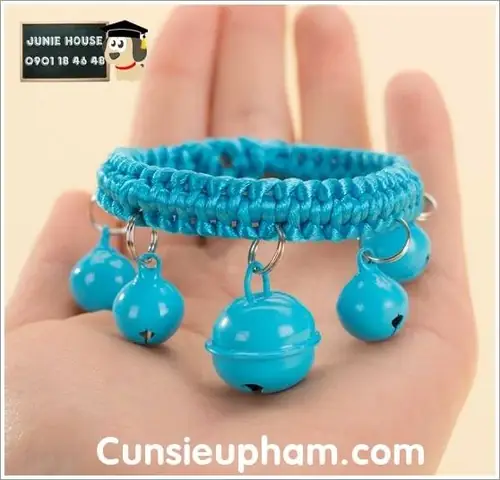 Vòng Lục Lạc Cho Chó: Hướng Dẫn Chọn Mua Và Sử Dụng An Toàn, Hiệu Quả