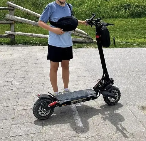 Xe Khách Cho Chở Chó: Hướng Dẫn Chi Tiết Khi Vận Chuyển Chó Bằng Xe Khách An Toàn Và Hợp Pháp