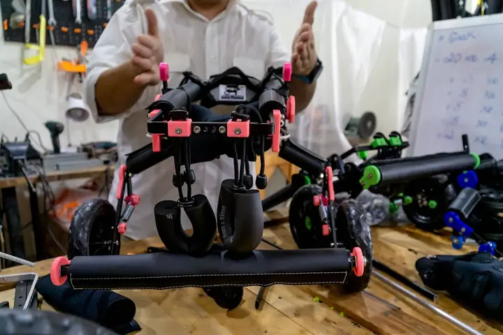 Xe Lăn Cho Chó Mèo