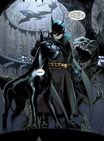 Xem Con Chó Con Mèo: Hướng Dẫn Quan Sát Và Hiểu Ngôn Ngữ Cơ Thể Của Thú Cưng