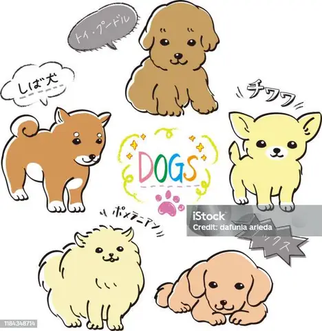 Hình Ảnh Cho Hình Ảnh 5 Con Chó: