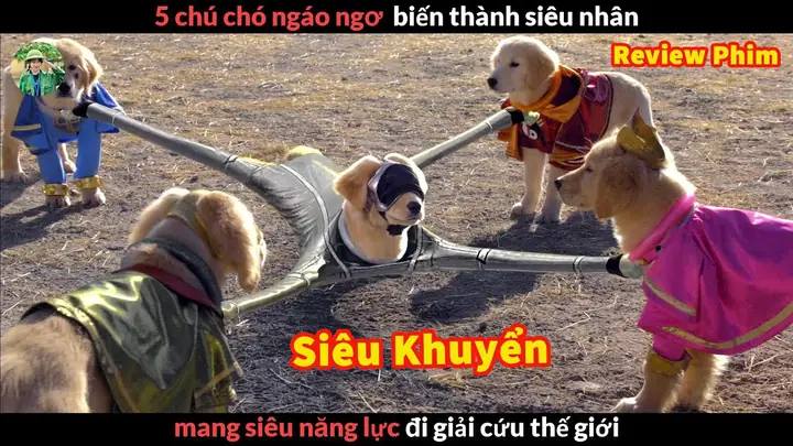 Hình Ảnh Cho Hình Ảnh 5 Con Chó: