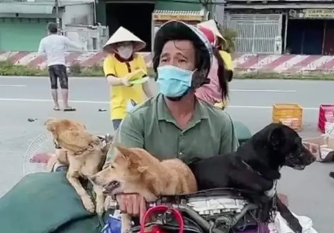 Hình Ảnh Cho Hình Ảnh 5 Con Chó: