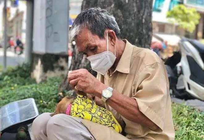 Hình Ảnh Cho Hình Ảnh 5 Con Chó: