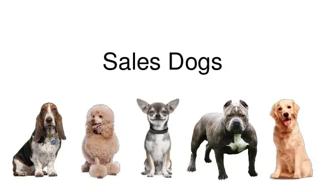 Hình Ảnh Cho Hình Ảnh 5 Con Chó: