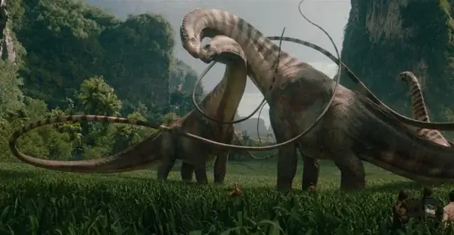 Xem Phim Chú Chó Rex Có Gì Đặc Biệt Và Tại Sao Nên Xem?