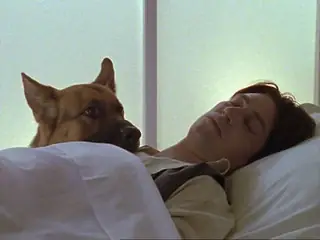 Xem Phim Chú Chó Rex