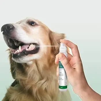 Xịt Thơm Miệng Vet’s Best Dog Dental Spray