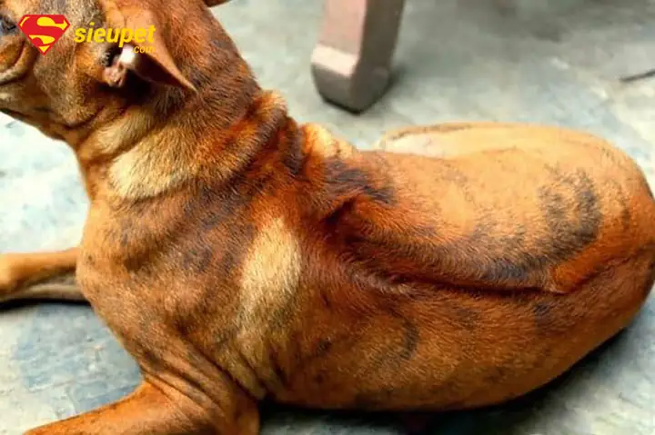 Ý Nghĩa Và Tác Động Của Xoáy Kiếm