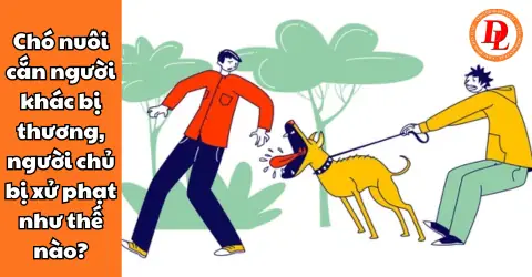 Xử Lý Chó Cắn Người Xử Lý Chó Cắn Người