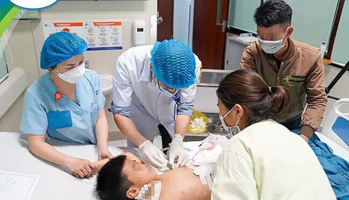 Xử Trí Chó Cắn: Hướng Dẫn Cấp Cứu Và Phòng Ngừa Từ Bộ Y Tế