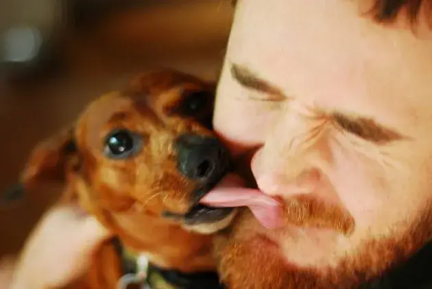 Khuyen-cao-dung-vi-yeu-cho-ma-de-cho-liem-mat-keo-ruoc-benh-vao-nguoi-nhu-nguoi-dan-ong-nay-voh-1