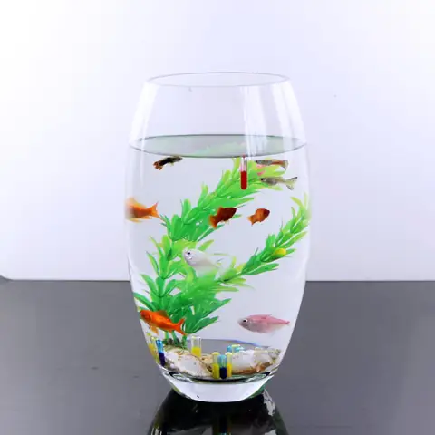 Mua Ở Đâu Bể Cá Cảnh Đẹp Mini?