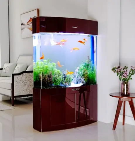 Mua Ở Đâu Bể Cá Cảnh Đẹp Mini?