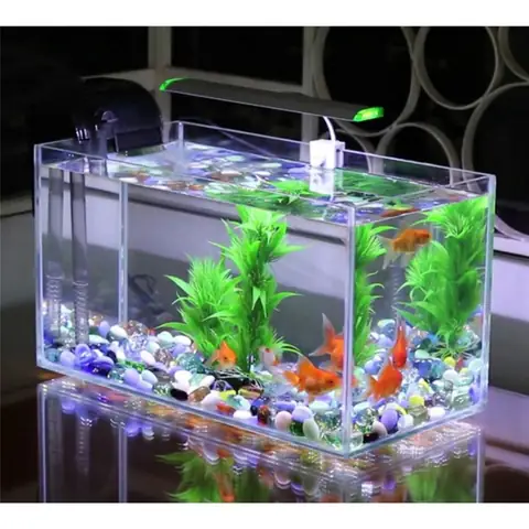 Mua Ở Đâu Bể Cá Cảnh Đẹp Mini?