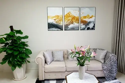 Mô Tả Sản Phẩm