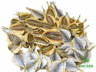 Cá Chỉ Vàng Cá Chỉ Vàng