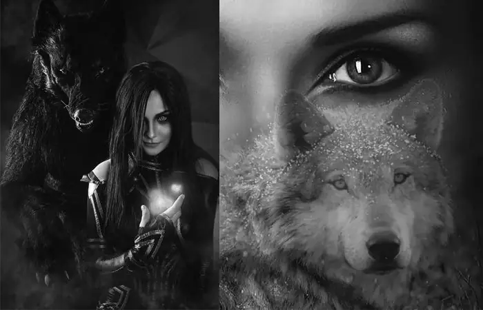 Các Ứng Dụng Và Lợi Ích Của Ảnh Chó Sói 3d Đẹp Trong Thiết Kế Đồ Họa Và Trang Trí Nội Thất?