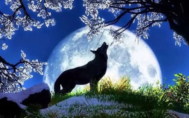 Các Ứng Dụng Và Lợi Ích Của Ảnh Chó Sói 3d Đẹp Trong Thiết Kế Đồ Họa Và Trang Trí Nội Thất?