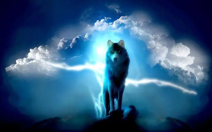 Các Ứng Dụng Và Lợi Ích Của Ảnh Chó Sói 3d Đẹp Trong Thiết Kế Đồ Họa Và Trang Trí Nội Thất?